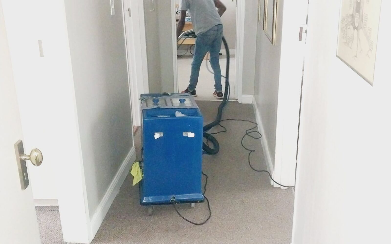 Team member cleaning carpets