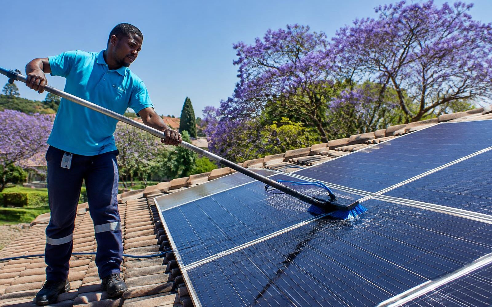 Technician cleaning rooftop solar panels with a soft brush pole under jacaranda trees