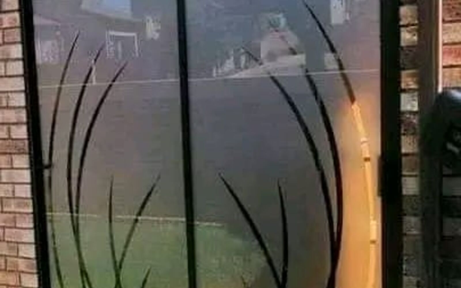 Frosted glass door