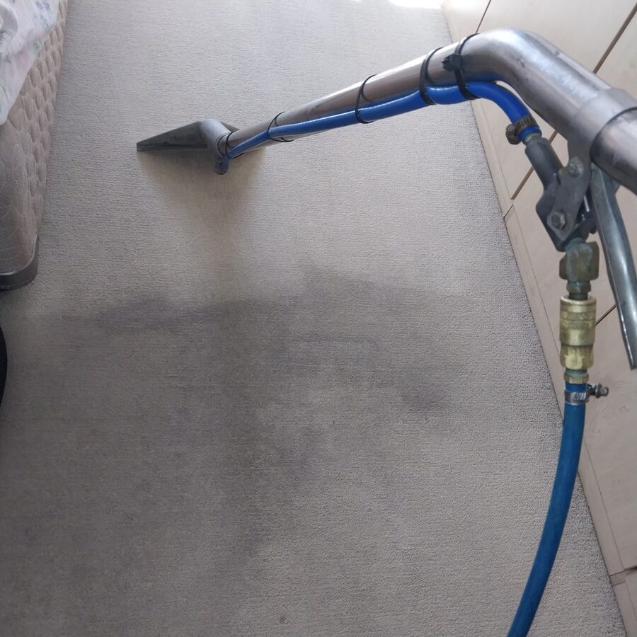 Carpet extraction showing the clean line