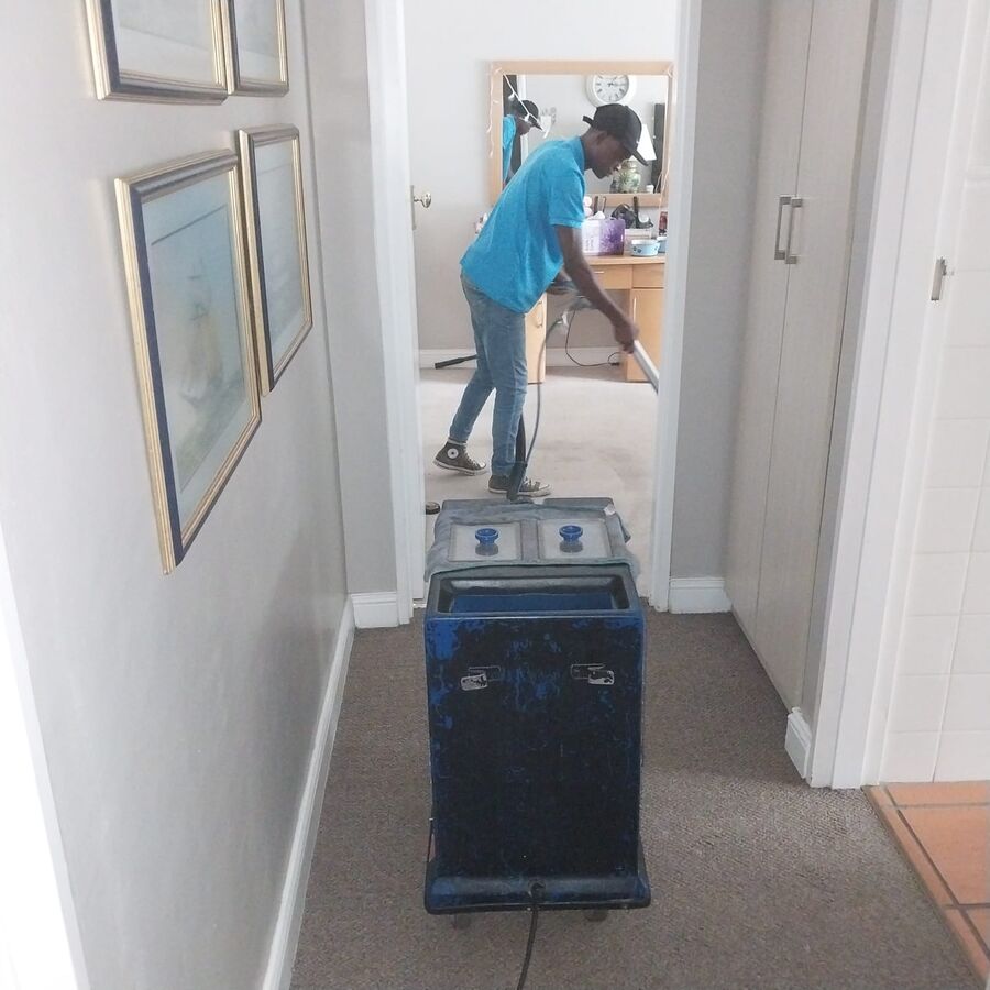 Carpet extraction in a family home
